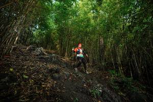 BIB: 
                            <button type="button" onclick="openModal(25091513)" class="btn btn-primary btn-sm float-right btn-popup" data-toggle="modal" data-target=".modal-high-quality">
                        <i class="fas fa-shopping-cart"></i> Add to Cart
                    </button>
                                            <button type="button" onclick="isThisMe(25091513, true)" class="btn btn-success btn-sm float-right btn-popup btn-isme hidden" data-toggle="tooltip" data-placement="bottom" title="นี่คือรูปของคุณใช่ไหม คลิกที่นี่เพื่อเอาเข้าอัลบั้ม">
                        <i class="fas fa-plus"></i> Add to album
                    </button>
                    <button type="button" onclick="isThisMe(25091513, false)" class="btn btn-warning btn-sm float-right btn-popup btn-isnotme hidden">
                        <i class="fas fa-ban"></i> Remove from album
                    </button>